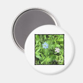 Hoffnung Magnet (Vorderseite/Rückseite)