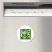 Hoffnung Magnet (In Situ (Geschirrspüler))