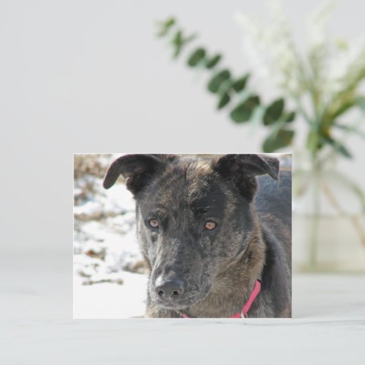 Hoffnung Postkarte (Stehend Vorderseite)