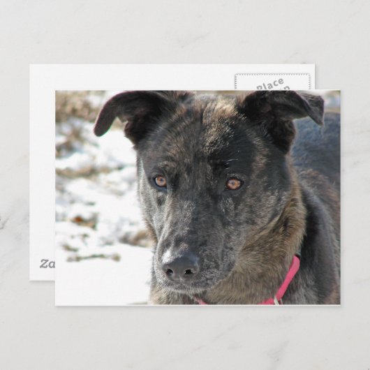 Hoffnung Postkarte (Vorne/Hinten)