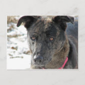 Hoffnung Postkarte (Vorderseite)