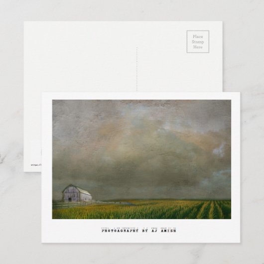 Hoffnung Postkarte (Vorne/Hinten)