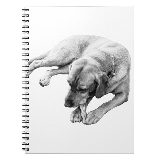 Hoffnung und Reflektion Notizblock (Vorderseite)