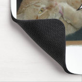 Hoffnung und Wandel/Katzen Spaß Mousepad (Ecke)