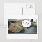 Hoffnung und Wandel/Katzen Spaß Postkarte (Vorne/Hinten)