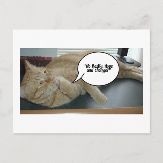 Hoffnung und Wandel/Katzen Spaß Postkarte (Vorderseite)
