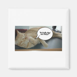 Hoffnung und Wandel Magnet