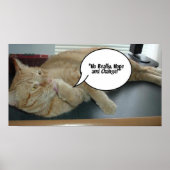 Hoffnung und Wandel Orange Tabby Cat Poster (Vorne)