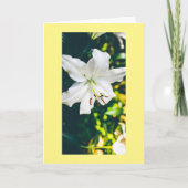 HOFFNUNG UND WÜNSCHENSWERTER FÜR SIE IM OSTEN KARTE (Vorderseite)