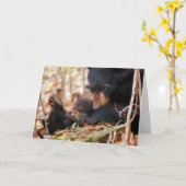 Hoffnungs-und Glauben-Karte Karte (Gelbe Blume)