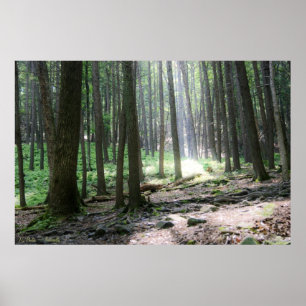 Hoffnungsschimmer 6 x 24 Plakat