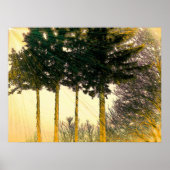 Hoffnungsschimmer Poster (Vorne)