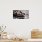 Hoffnungsvoll für eine ewige Zuhause Poster (Küche)