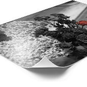 Hoffnungsvolle gotische Rose Fotodruck (Ecke)