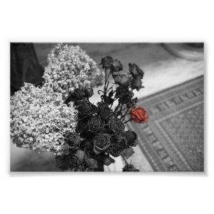 Hoffnungsvolle gotische Rose Fotodruck