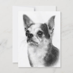 Hoffnungsvoller Blick - Handgemalt Chihuahua Pet P Postkarte