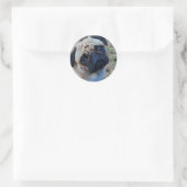Hoffnungsvoller Mops Runder Aufkleber (Tasche)