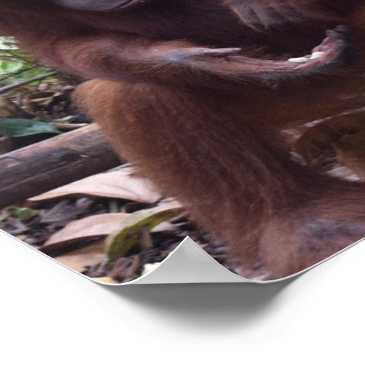 Höflichkeit im Klassenzimmer Poster (Ecke)