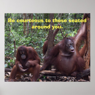 Höflichkeit im Klassenzimmer Poster