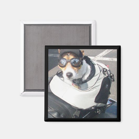 Hog Dog Kühlschrank Magnet (Vorderseite/Rückseite)