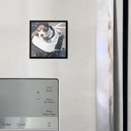 Hog Dog Kühlschrank Magnet (In Situ (Kühlschrank))