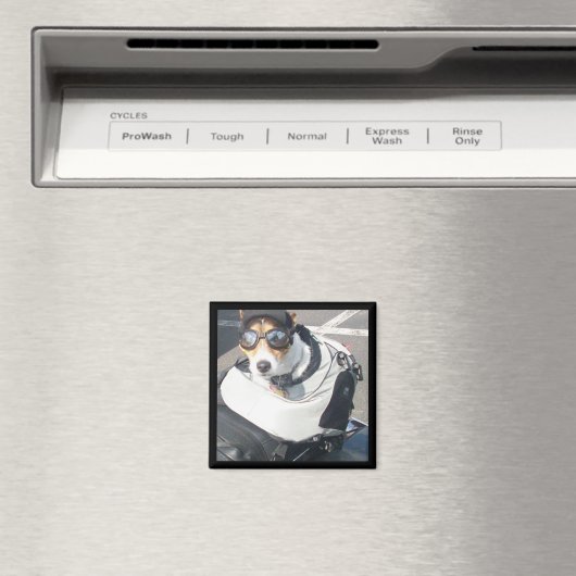 Hog Dog Kühlschrank Magnet (In Situ (Geschirrspüler))