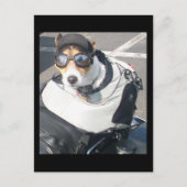 Hog Dog Postcard Postkarte (Vorderseite)