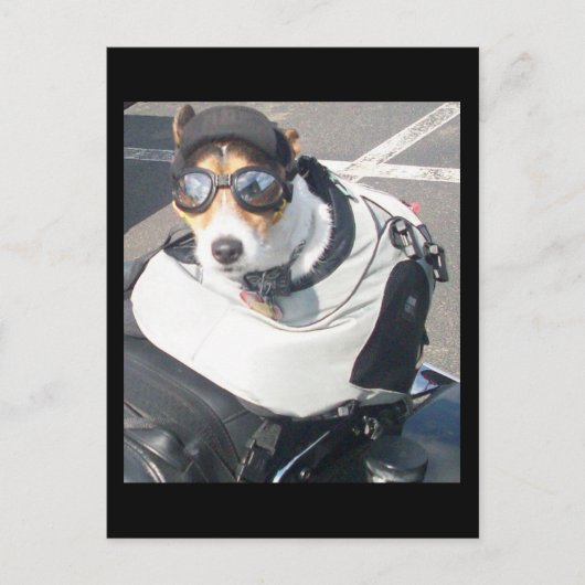 Hog Dog Postcard Postkarte (Vorderseite)