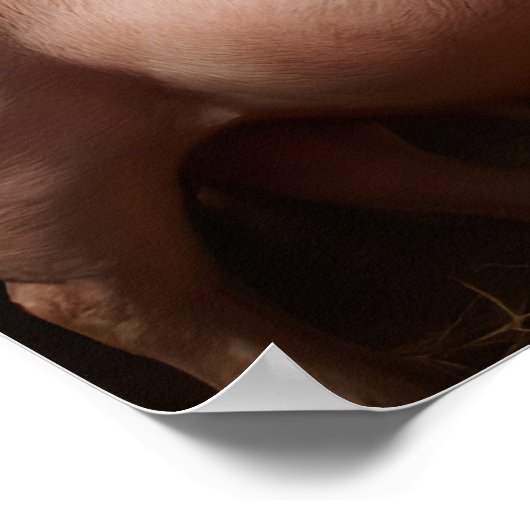 Hog Farmers Poster (Ecke)