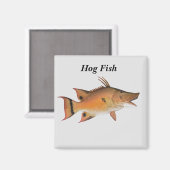 Hog Fish Fish Magnet (Vorderseite/Rückseite)
