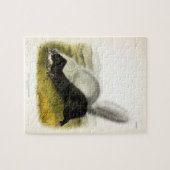 Hog-nosed Skunk (Texan Skunk) Audubons Quadrupeds Puzzle (Horizontal)