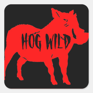 HOG WILD HELMET STICKERS PKG VON 20