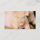 Hog Wildfarm Visitenkarte (Rückseite)