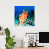 Hogfish Poster (Heimbüro)