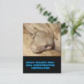 Hogg Island boa Postkarte (Stehend Vorderseite)