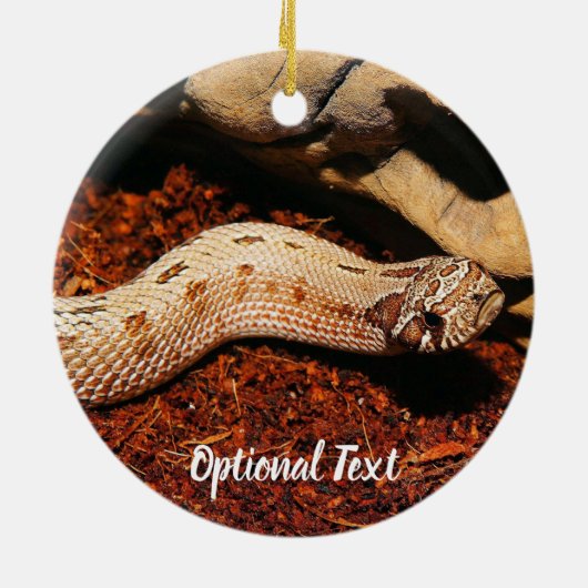 Hognose Keramik Ornament (Hinten)