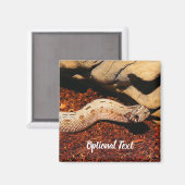 Hognose Magnet (Vorderseite/Rückseite)