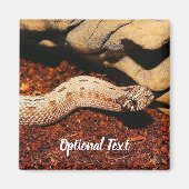 Hognose Magnet (Vorne)