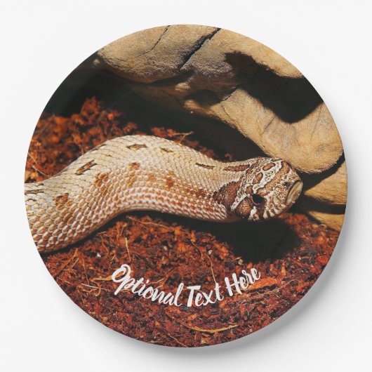 Hognose Pappteller (Vorderseite)