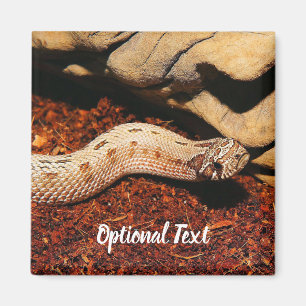 Hognose Pet Snake Magnet