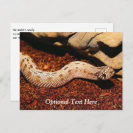 Hognose Postkarte