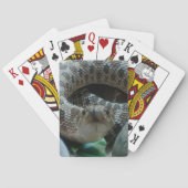 Hognose Spielkarten (Rückseite)