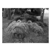 Hogs Head, Bute Park, Cardiff Fotodruck (Vorne)