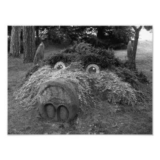 Hogs Head, Bute Park, Cardiff Fotodruck