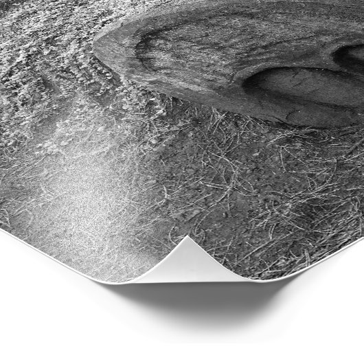 Hogs Head, Bute Park, Cardiff Fotodruck (Ecke)