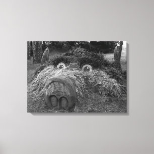 Hogs Head, Bute Park, Cardiff Leinwanddruck