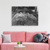 Hogs Head, Bute Park, Cardiff Leinwanddruck (Insitu (Wohnzimmer))