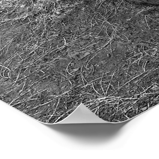 Hogs Head, Bute Park, Cardiff Poster (Ecke)