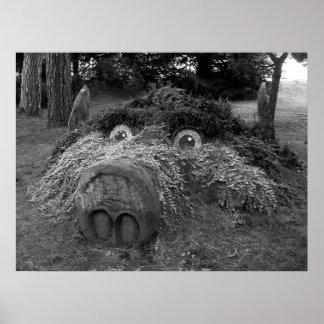 Hogs Head, Bute Park, Cardiff Poster