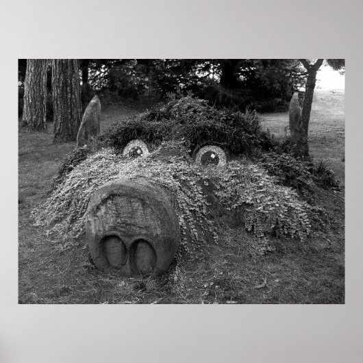 Hogs Head, Bute Park, Cardiff Poster (Vorne)